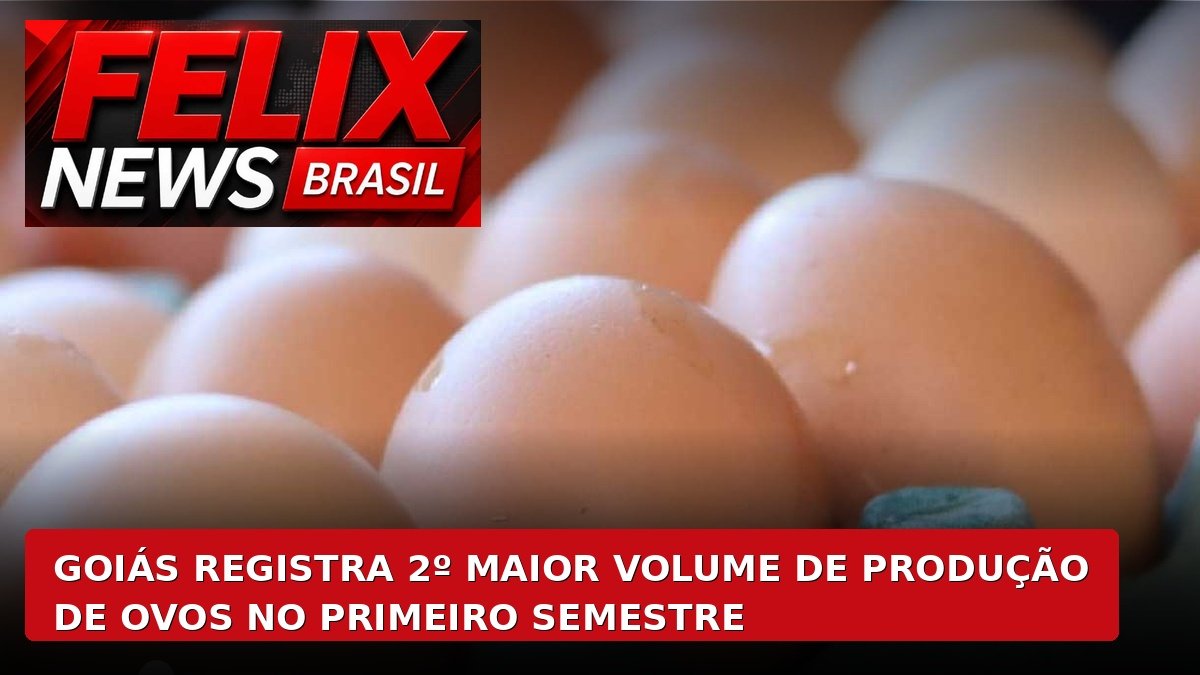 capa_felix_site